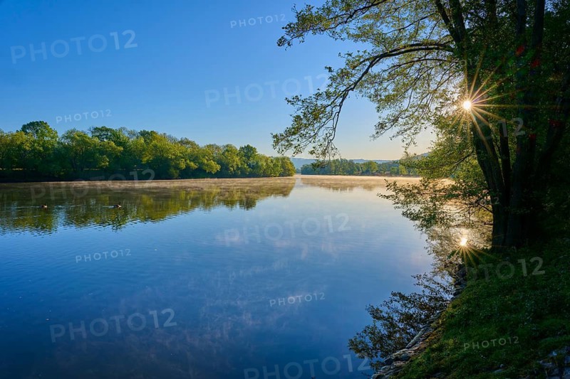 A quiet river with trees on the banks and the sun shining through the leaves. Reflections in the water create a peaceful atmosphere, Boxtal, Main-Boxtal, Tauber district, Baden-Württemberg, and Stadtprozelten, Dorfprozelten, Main, Spessart, Bavaria, Germany