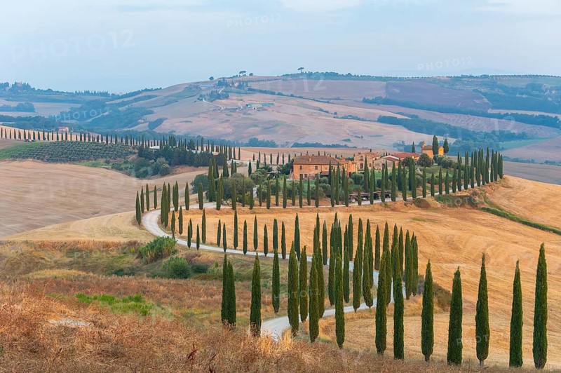Typical Tuscan landscape in Crete Senesi with hills, trees, fields, cypresses and farm road in autumn, sunrise, Agriturismo Baccoleno, UNESCO World Heritage Site, Siena Province, Tuscany, Italy