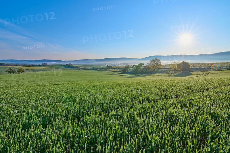 A picturesque sunrise over a wide green field and a gentle hilly landscape, Mönchberg, Mltenberg, Spessart, Bavaria, Germany