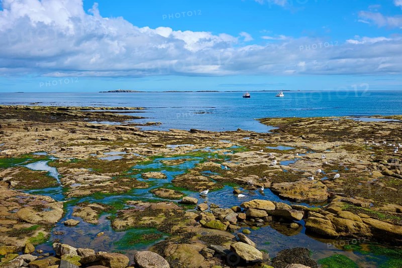 Rocks and sea with boats and sweeping sky, Seahouses, Northumberland, England, Great Britain
