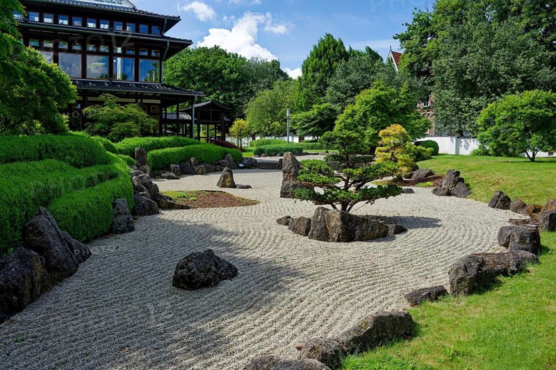 Japanese garden, botany, plants, garden of bliss, spa town, Bad Langensalza, Thuringia, Germany