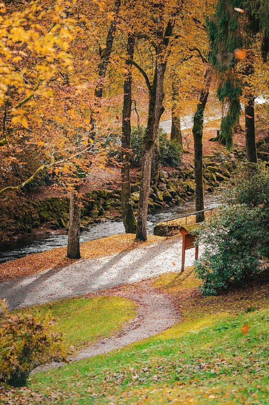 River course in the spa gardens during autumn, Bad Wildbad, Black Forest, Germany