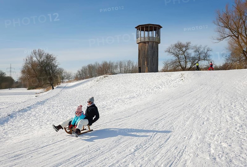 Recklinghausen, North Rhine-Westphalia, Germany - Sunny winter landscape in the Ruhr area, Emscher art in the snow, Kawamata Tower on the Emscher, WALKWAY AND TOWER, 2010, by Tadashi Kawamata, Families go sledging