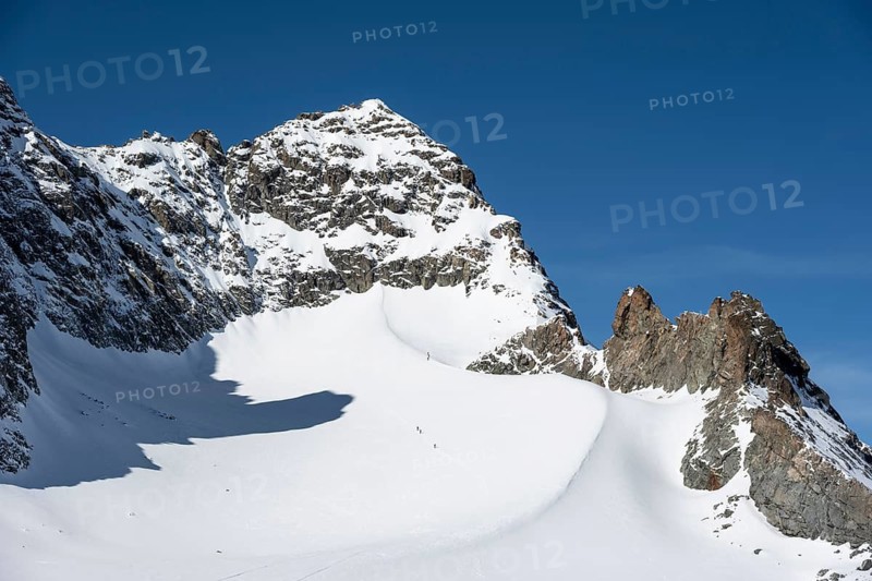 View of Piz Kesch mountain peak and Vadret da Porchabella glacier, Bündner Haute Route ski tour, Albula Alps, Rhaetian Alps, Grisons, Eastern Switzerland, Switzerland