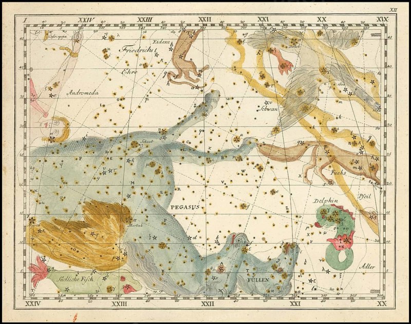 Zodiac sign Pegasus, star chart, universe, astrology, horoscope, after Johann Elert Bode (19 January 1747 to 23 November 1826), Prussian astronomer