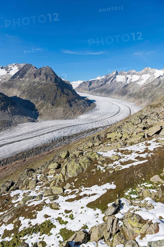 Aletsch glacier, glacier tongue, panorama, climate change, decline, global warming, ice, global climate, tourism, Aletsch Arena, Valais, Switzerland