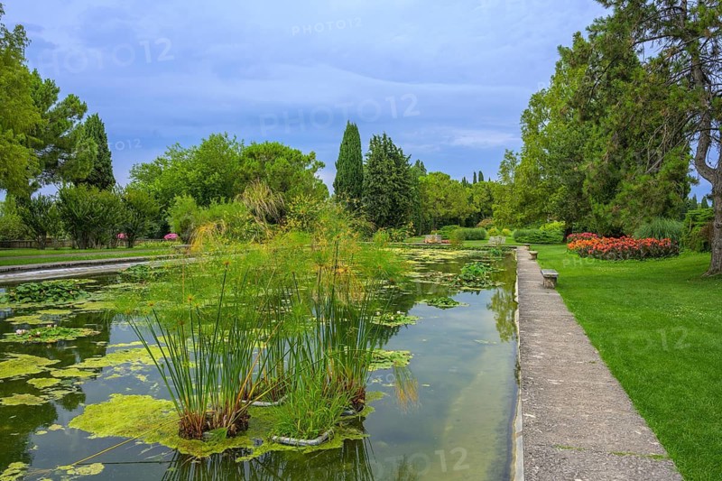Water garden in the Parco Giardino Sigurtà, Valeggio sul Mincio, Province of Verona, Italy
