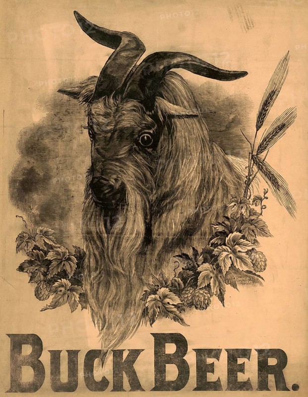 Advertising poster, beverage advertisement, advertising lithograph for Buck Beer from the late 19th century by A. Lambrecht & Co. created and depicts a detailed goat surrounded by hops and barley, authentic reproduction of a historical advertising poster, advertising sign, in high resolution