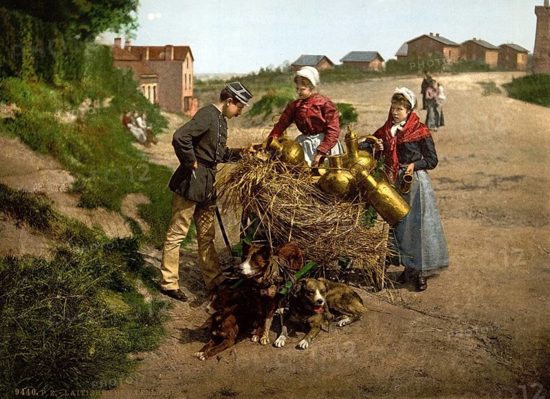 Milk seller with a cart pulled by dogs, bar, Brussels, Belgium, ca 1895, Historical, digitally restored reproduction from a 19th century original, Record date not stated