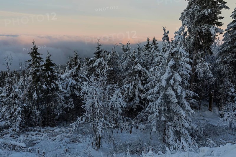 View of the sea of fog over the Ore Mountains in the evening light, snow-covered winter forest on the Auersberg, Eibenstock, Saxony, Germany