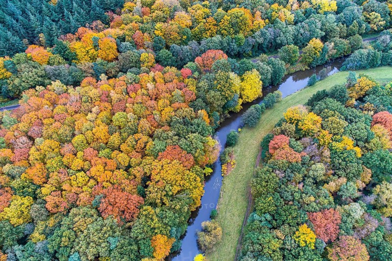 Hunte in autumn Barneführer wood, forest, autumn colors, Westerburg, Wardenburg, Lower Saxony, Germany