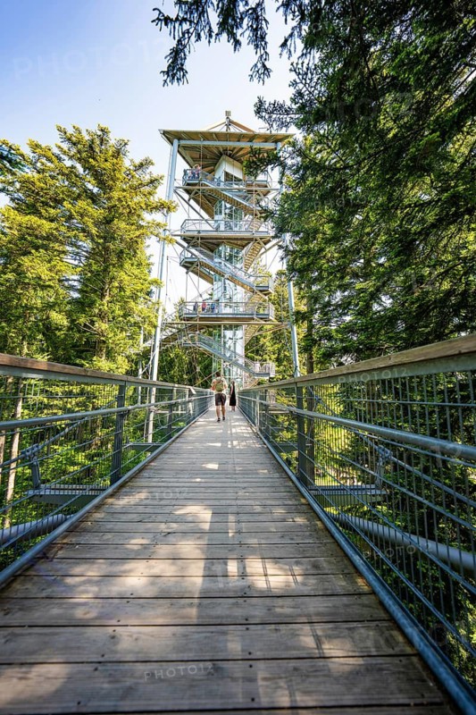 Two people walk on a wooden bridge to a high observation tower in the forest, Waldwelt Skywalk Allgäu, Scheidegg, Allgäu, Germany