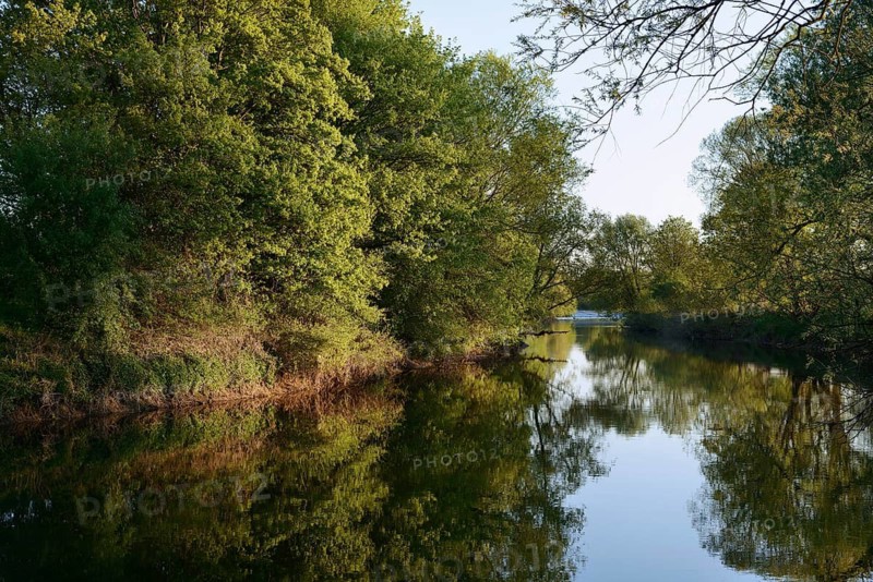 The river Lippe with deciduous trees in spring, North Rhine-Westphalia, Germany