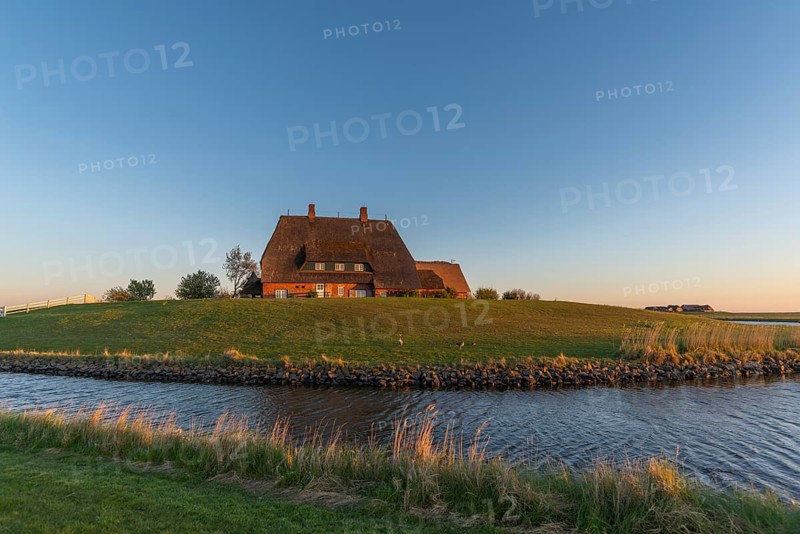 Kirchwarft with pastor and church on Hallig Hooge in the Schleswig-Holstein Wadden Sea National Park, Halligen biosphere, evening mood, tidal creek, North Frisia, Schleswig-Holstein, Germany