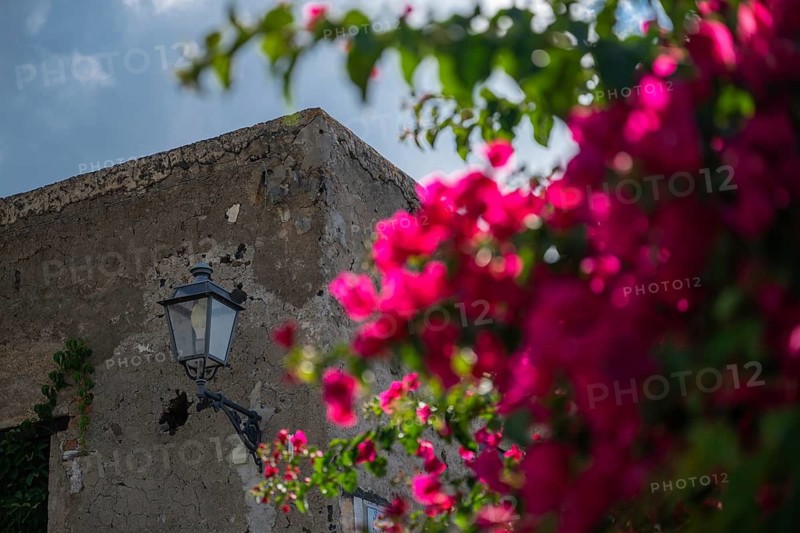 Bougainvillea (Bougainvillea sp.), old house with a street lamp, Malfa, Salina, Aeolian or Lipari Islands, southern Italy, Italy