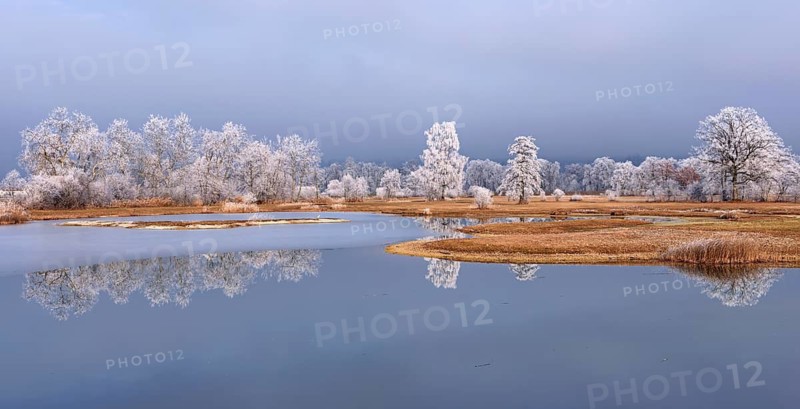 Frozen pond and trees in hoarfrost, nature reserve, Schoren, Mühlau, Freiamt, Aargau Canton, Switzerland