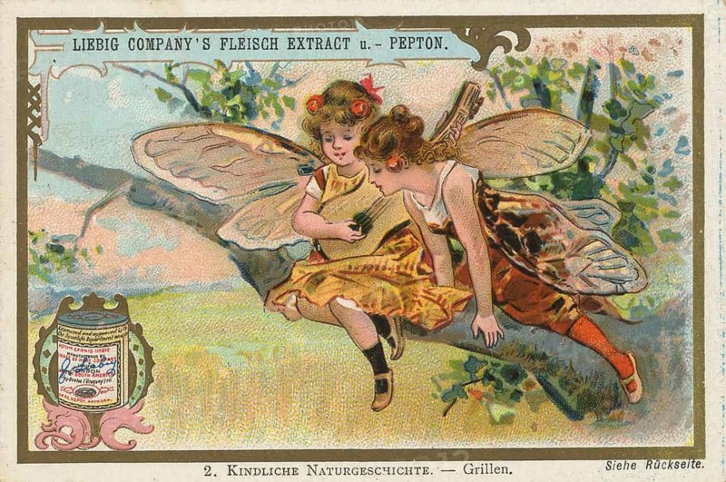 Picture series Children's Natural History, children in costumes of crickets, picture of love, digitally restored reproduction of a collector's painting from around 1900, exact date unknown