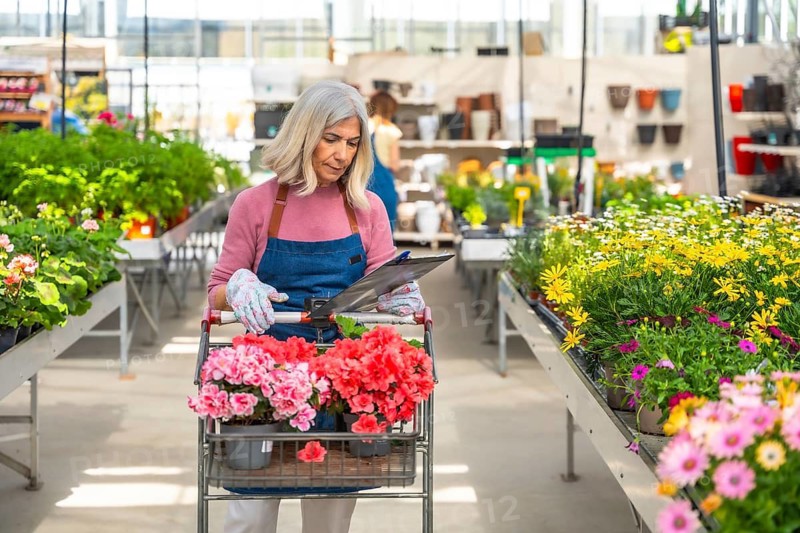 Senior woman wearing an apron and gloves, pushing a cart with flowering plants, checking inventory on a clipboard while working in a bright greenhouse