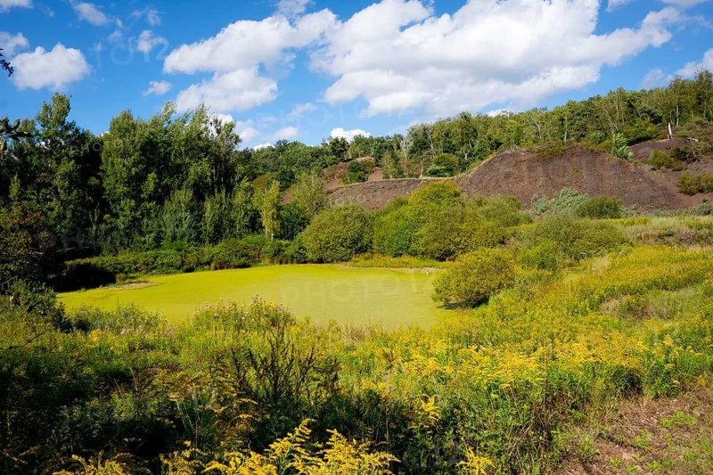 Germany, Hesse, Messel, Messel Pit, lake in the pit, publication authorised by Philipe Havlik, Managing Director of Welterbe Grube Messel gGmbH (pr)
