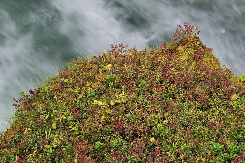 Fast-flowing water, mountain stream, overgrown ledge, Øvstestølbrua, long exposure, Valldal, Norway