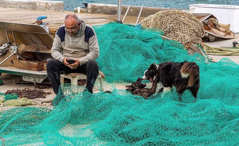 Playful dogs fight next to a fisherman who ties and repairs his net, Cala Figuera harbour, Majorca, Spain