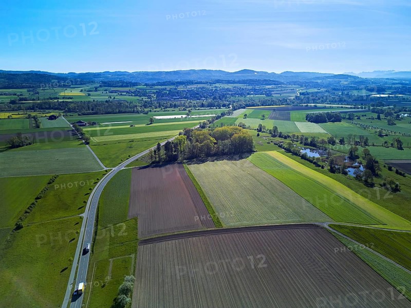 Meadows and fields, Merenschwand, Reusstal, Freiamt, Canton of Aargau, Switzerland