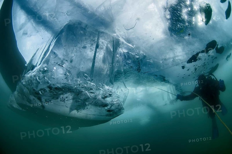 Scuba diver underwater, Lake Baikal, Olkhon Island, Pribaikalsky National Park, Irkutsk Province, Siberia, Russia