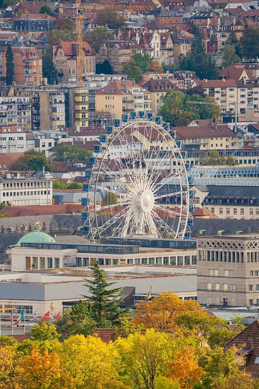 City view with a Ferris wheel behind trees and buildings on an autumn day, Stuttgart, Germany