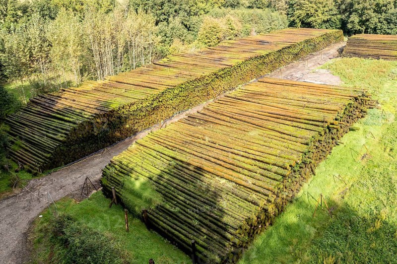 Aerial view of a timber yard, tree trunks get conservated by sprinkling water on the wood, Germany