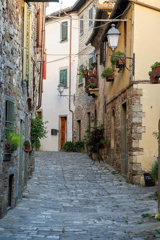 View of a little Street in the little wine town of Montefioralle, Chianti, Florence, Firenze, Tuscany, Italy