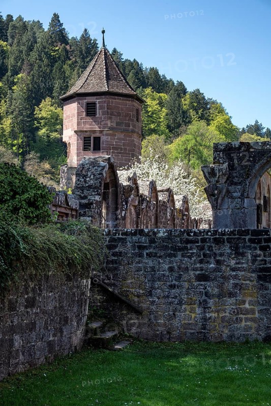The gate tower of the Hirsau monastery ruins, a former important Benedictine abbey in the Nagold Valley in the northern Black Forest, Hirsau, Calw, Black Forest, Germany