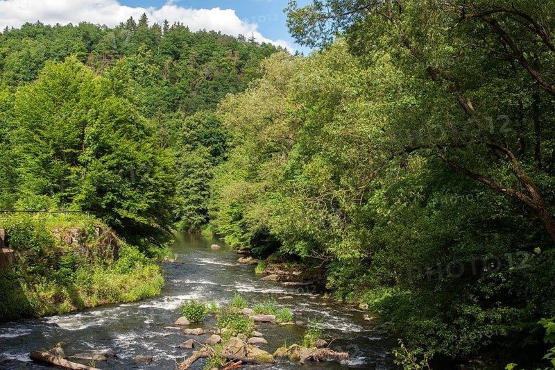Germany, White Elster, Elstertal, Landscape, Nature Reserve, Nature Reserve, Steinicht, Vogtland
