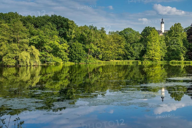 Elsteral, Germany, Greiz, Greizer Park, Upper Castle, Thuringia, Cultivated Landscape, Landscape, Landscape, Landscape, Park Lake, Vogtland