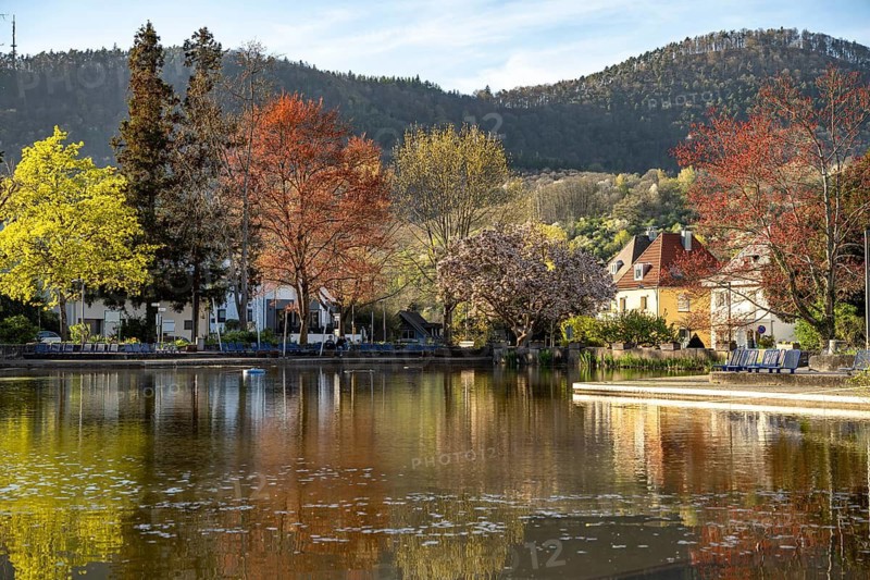 Der See Schwanenweiher in Annweiler am Trifels, Südliche Weinstraße, Rhineland-Palatinate, Germany