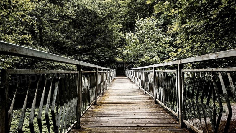 A long wooden bridge over the Schwarza with metal railings leads into a green forest, atmospheric, hiking in the Schwarza Valley nature reserve, Thuringian Highlands, Thuringian Forest nature park Park