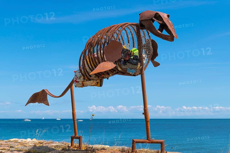 Sculpture of a porpoise on the former pilot island of Schleimünde, Schlei, Baltic Sea, Schleswig-Holstein, demonstration of plastic waste in the oceans, German-Polish student exchange 2018, artwork, Ruth Henniges and Carolin Ott, landmark, Schlei, coastal landscape, maritime, coastal region, Schleswig-Holstein, tourism, viewpoint, nature, coastline, seafaring, marine pollution, microplastics, oceans, waste, recycling, disposable plastic, marine animals ere, horizon, blue sky, Germany