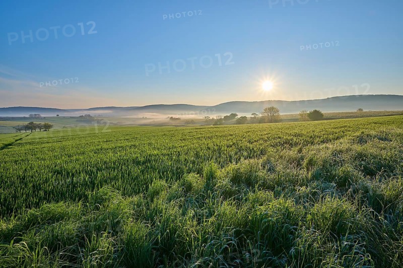 The sunrise illuminates vast fields with rolling hills and a blue sky in the background, Mönchberg, Miltenberg, Spessart, Lower Franconia, Bavaria, Germany