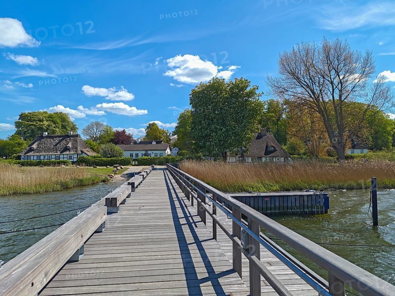 Jetty with thatched houses, half-timbered house, blue sky, sunshine, cumulus clouds, shore with reeds, trees, spring, landscape Schwansen, municipality Sieseby an der Schlei, Thumby, Schleswig-Holstein, Germany