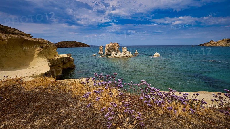 Blooming plants on the edge of a beautiful coast with rocks in the sea, Aspragremna, White Cliffs, Mavorspilia Beach, Kimolos Island, Kimolos, Cyclades, Greek Islands, Greece