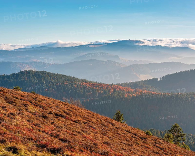 View from the summit of the Belchen (1414m) over the hills of the Black Forest in the morning light, fog in the valley, clouds moving over the mountains, behind the Feldberg (1494m), Baden-Württemberg, Germany