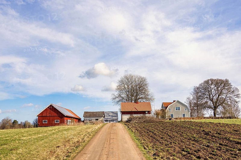 Gravel road by fields to a farm on a hill on the swedish countryside a a sunny spring day