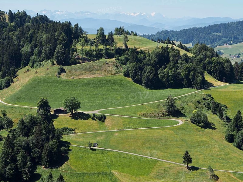 Trail with serpentines leads through green meadows and forests, to distant, snow-covered Alps, Hüttchopf, Tösstal, Canton of Zurich, Switzerland