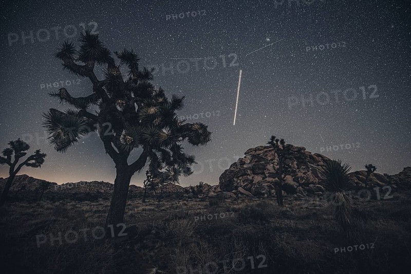 Starry sky in Joshua Tree National Park
