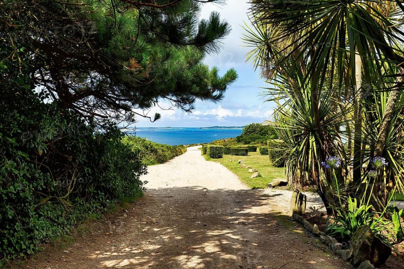 Idyllic coastal path, palm trees, subtropical vegetation, Hugh Town, St Mary's, Isles of Scilly, Isles of Scilly, Cornwall, England, Great Britain
