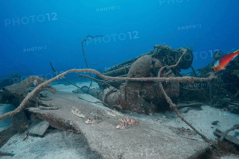 Shipwreck with machinery and small fish surrounded by a blue underwater landscape, meteor wreck dive site, Russian hydrofoil, Arguineguin, Gran Canaria, Spain, Europe, Atlantic