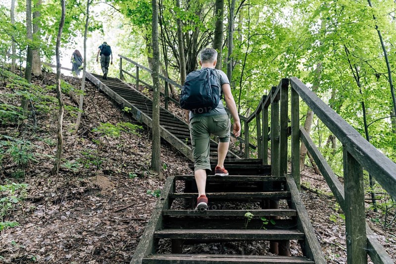 A man seen from behind climbs a wooden staircase on a forest trail. Two hikers walk ahead among tall trees and foliage. The scene reflects outdoor travel, exploration, wellness, and sustainable nature recreation