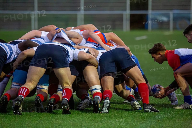 Rugby 1st Bundesliga South/West, season 2024/25, matchday 7 (catch-up match) : Heidelberger Ruderklub 1872 against Rugby Club Luxembourg