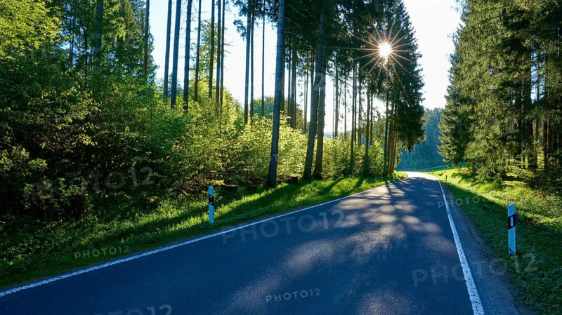 A long road through a thick forest, illuminated by occasional sunbeams and quiet, Fellen, Main-Spessart district, Mainfranken, Lower Franconia, Bavaria, Germany