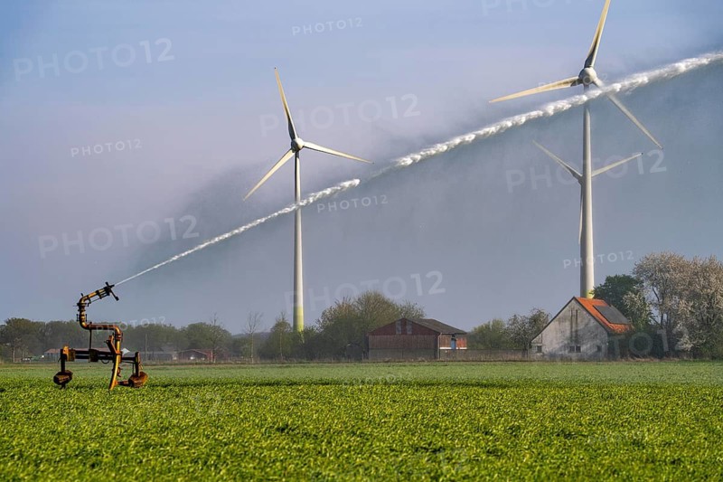 Artificial irrigation of a cereal field in April, with a sprinkler system, long dry spell in spring makes this necessary for the young plants to grow well, Kerken, Lower Rhine, North Rhine-Westphalia, Germany