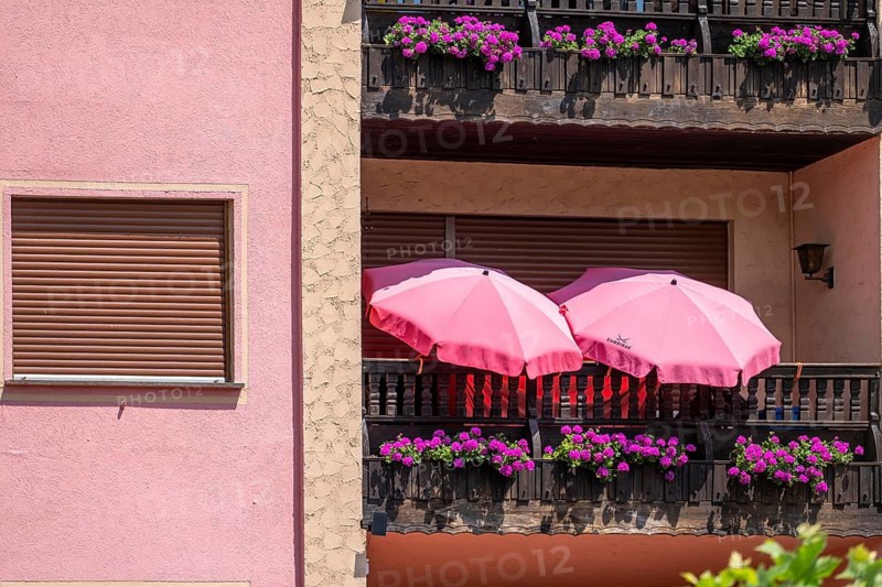 Residential building with pink façade, flowers and umbrellas, World Heritage Site Upper Middle Rhine Valley, Kaub Rhineland-Palatinate, Germany